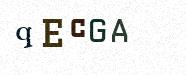 Visual Confirmation Security Code